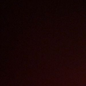 Meet your Posher, Arielle